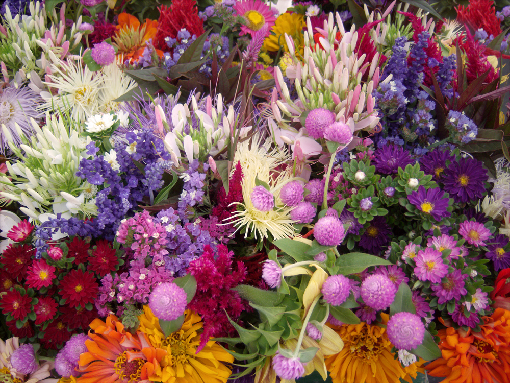 market flowers