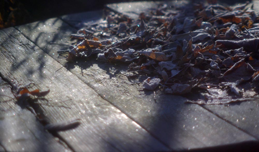 frost on table