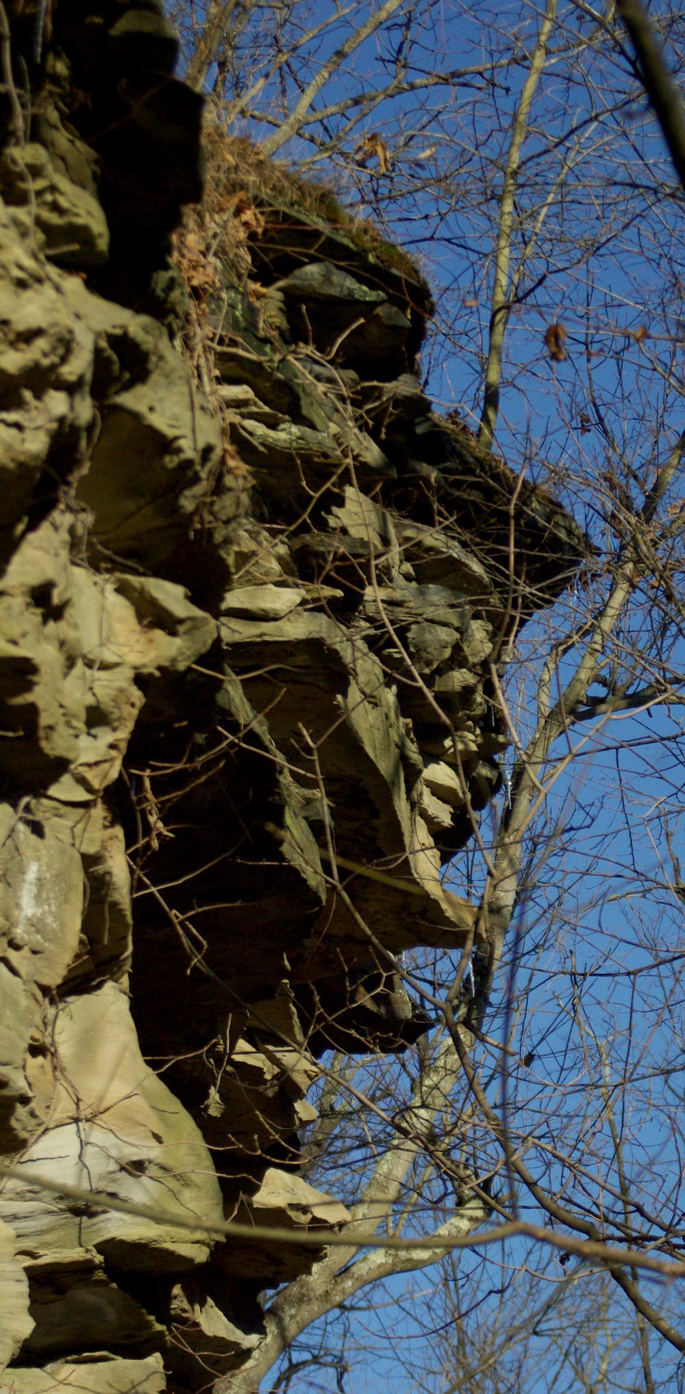 limestone outcrop with face