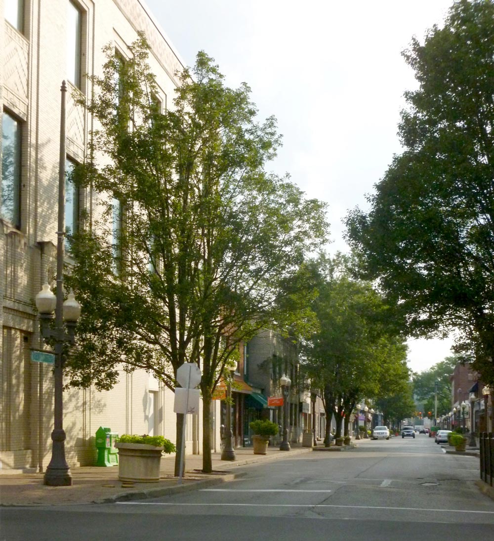 photo of main street in carnegie