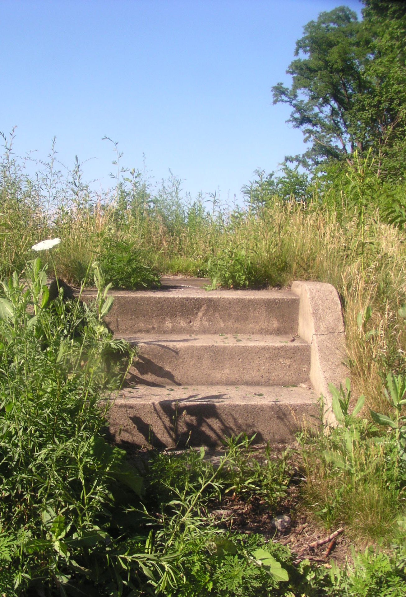 steps with no house