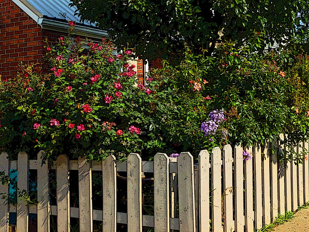 garden with picket fence