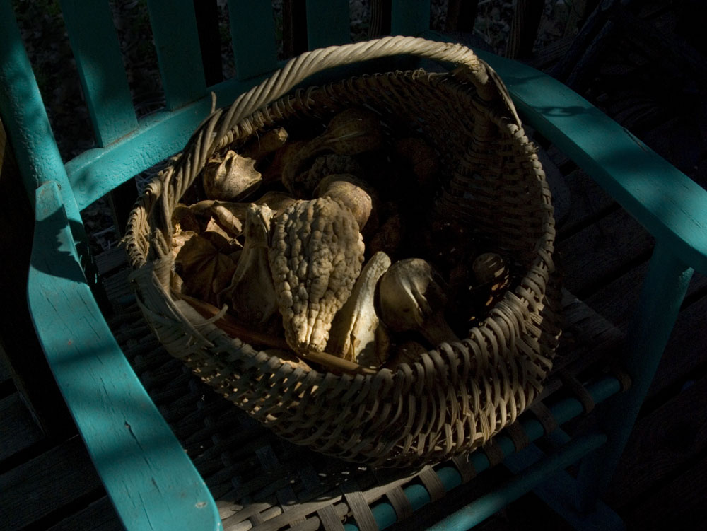 basket of gourds on rocker