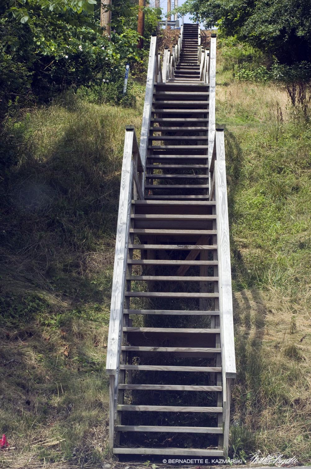 City Steps