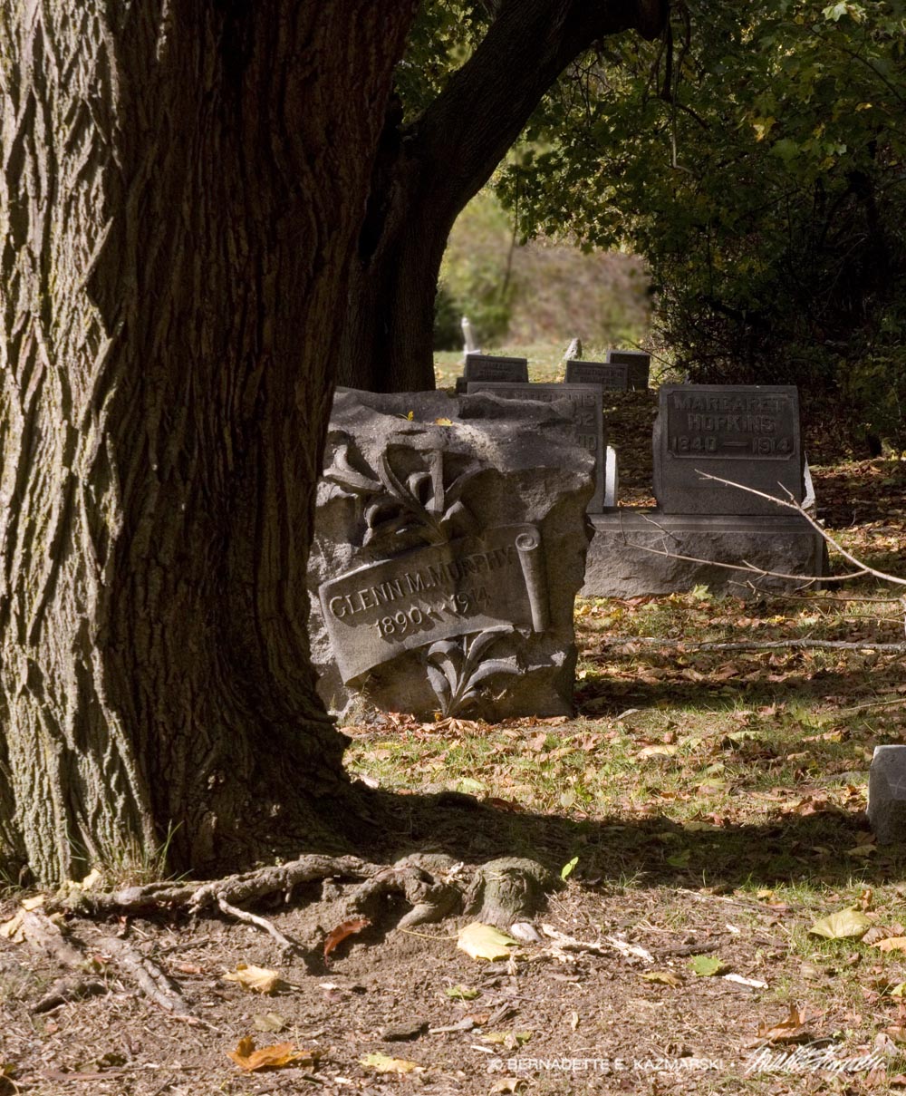 old trees and headstones in cemetery