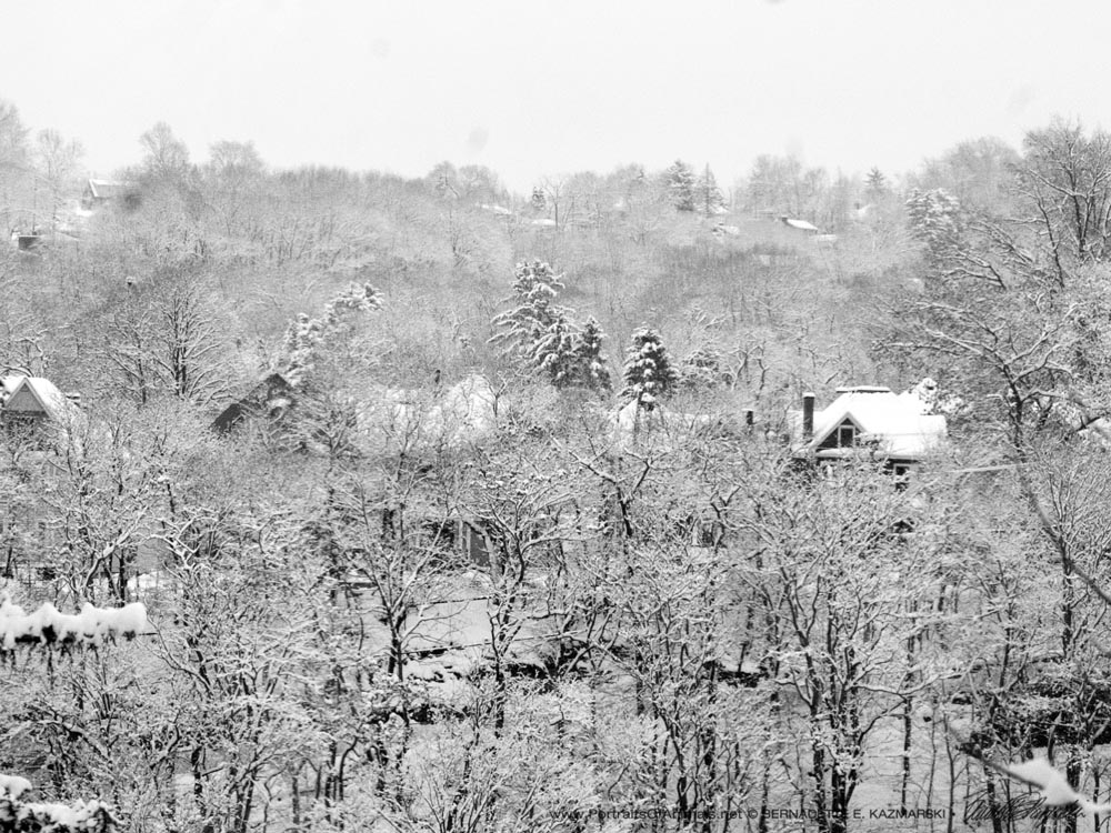 snow on houses and trees