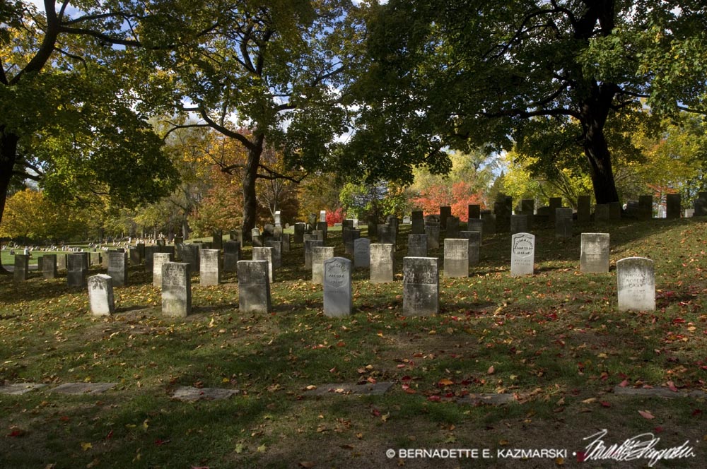 cemetery military veterans