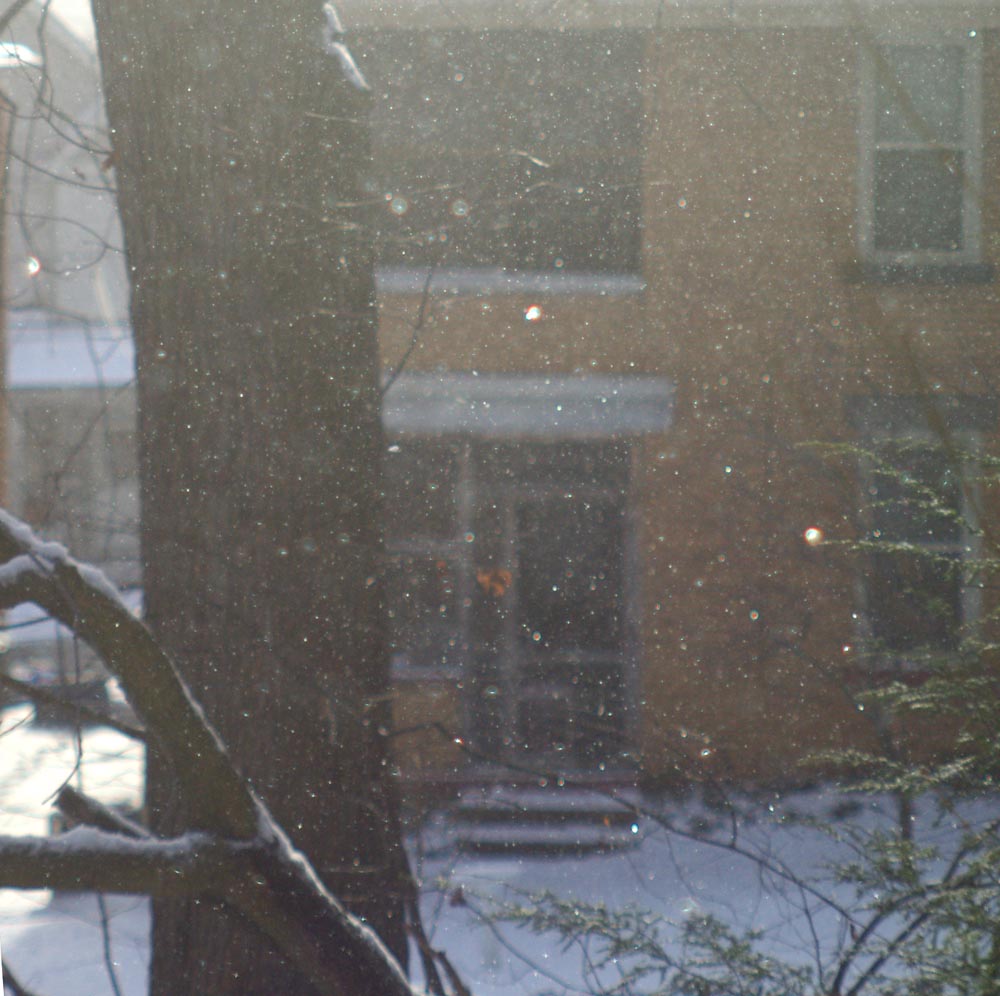 glittering powdery snow