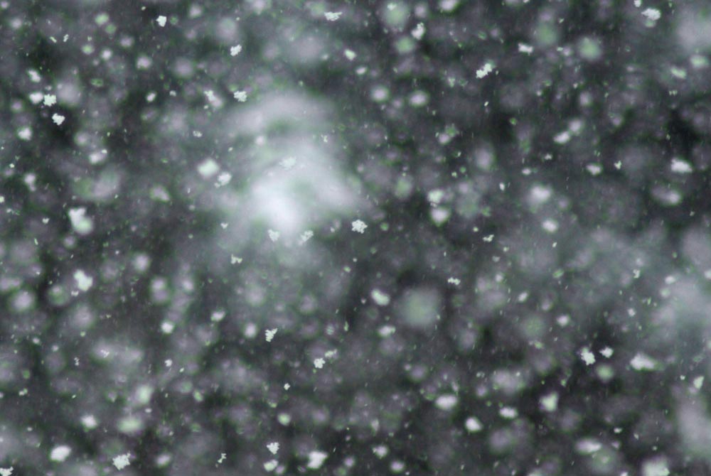snowflakes