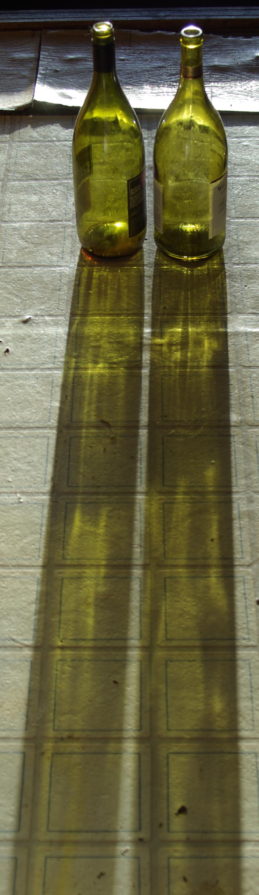 two green bottles in the sun