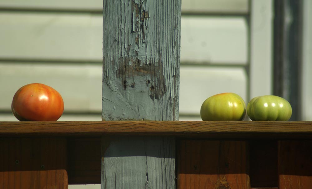 tomatoes on deck rail