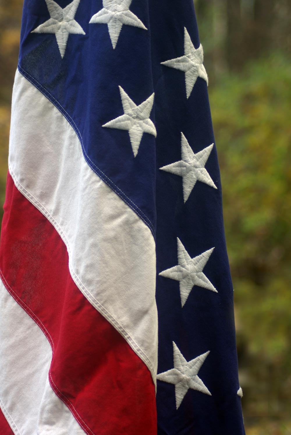 the veterans flag