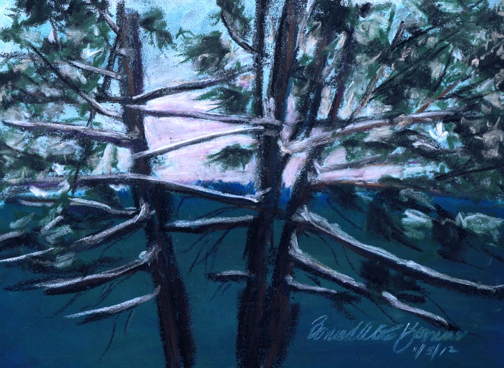 pastel sketch of hemlocks with snow