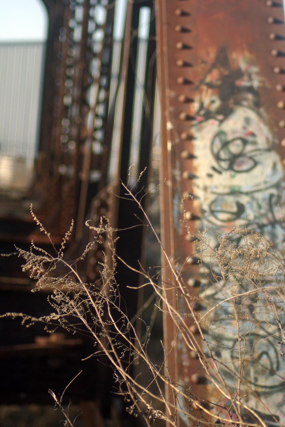 dry weeds with rusty bridge