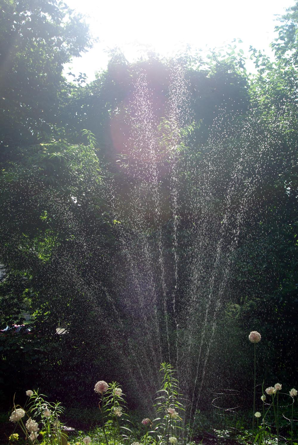 oscillating sprinkler