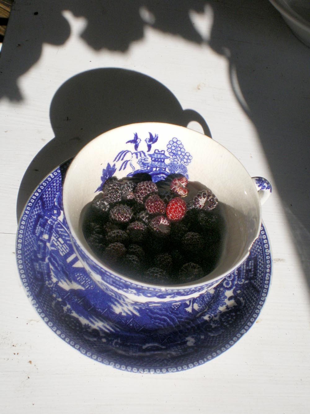 black raspberries in a vintage cup