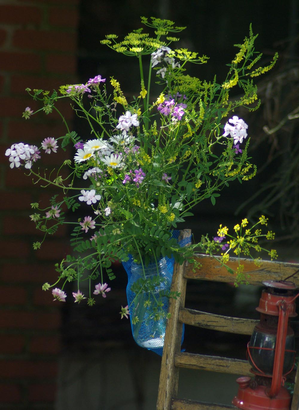 wildflowers