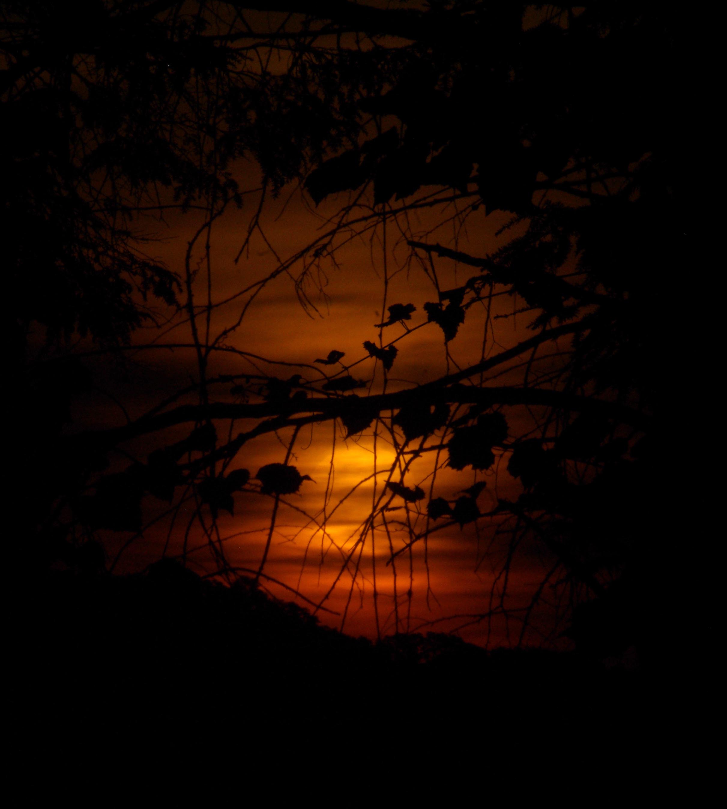 early dawn