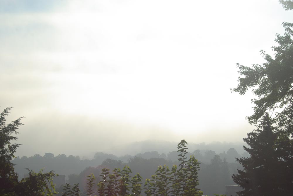 mist on hills