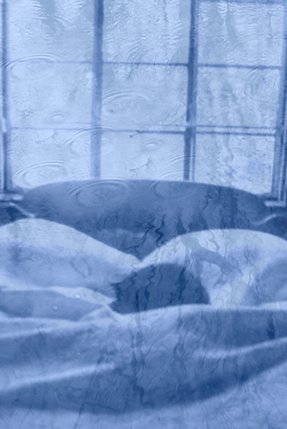photo of cats on bed with rain water