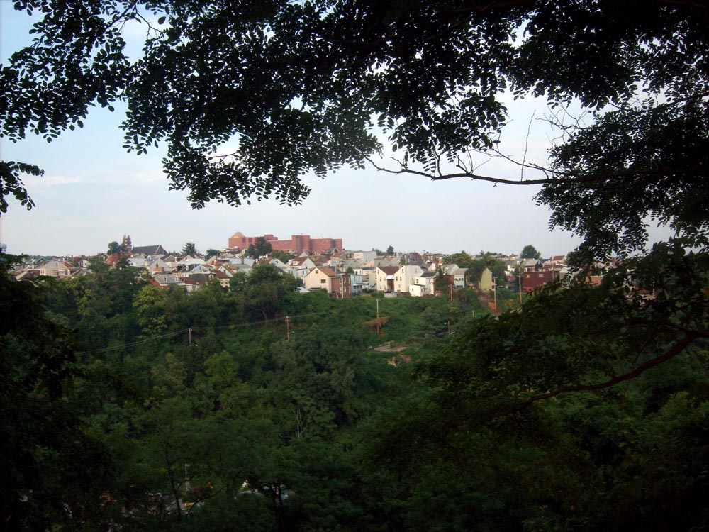photo of bloomfield from a distance