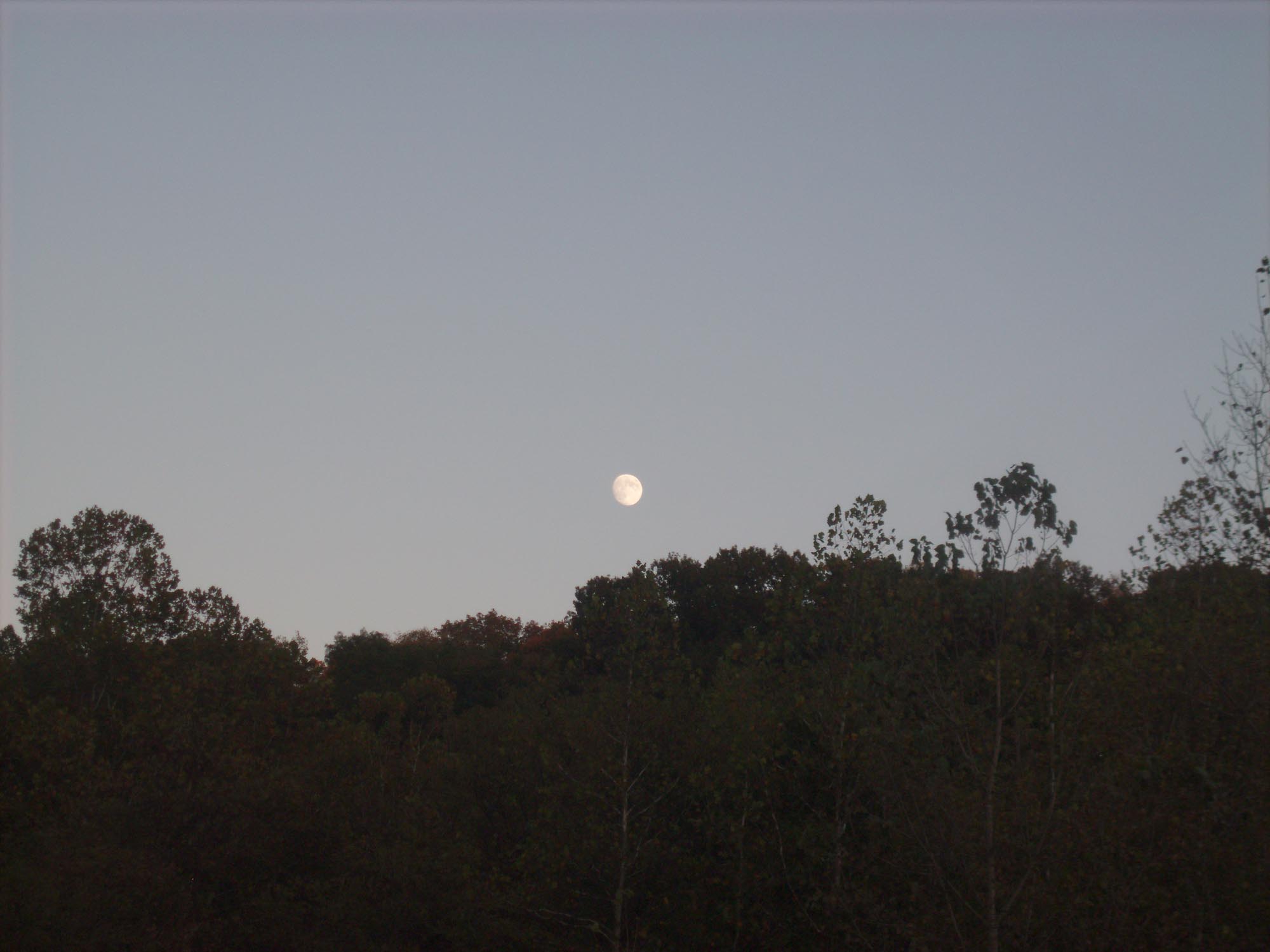 moon rise