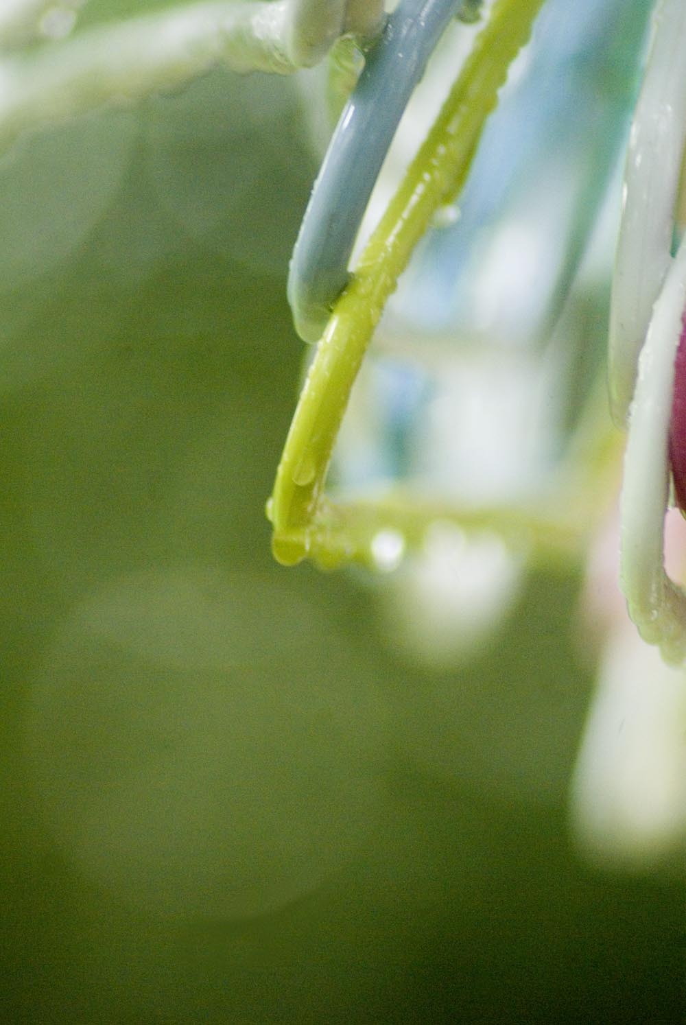 photo of hangers in rain