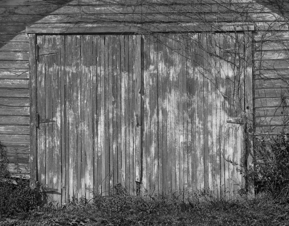 old garage with peeling paint and vines