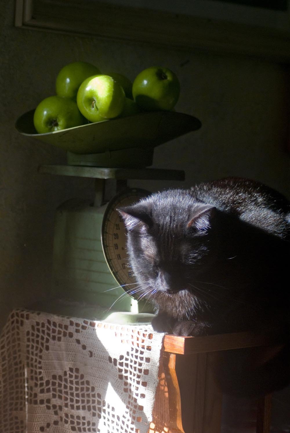 black cat on cabinet with apples
