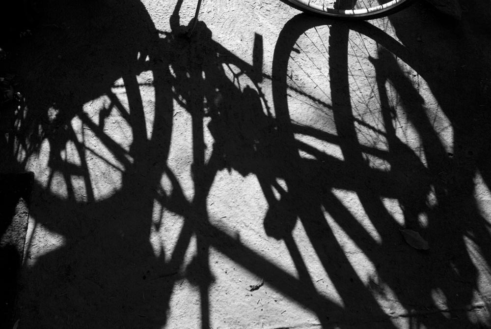 shadows of bicycles