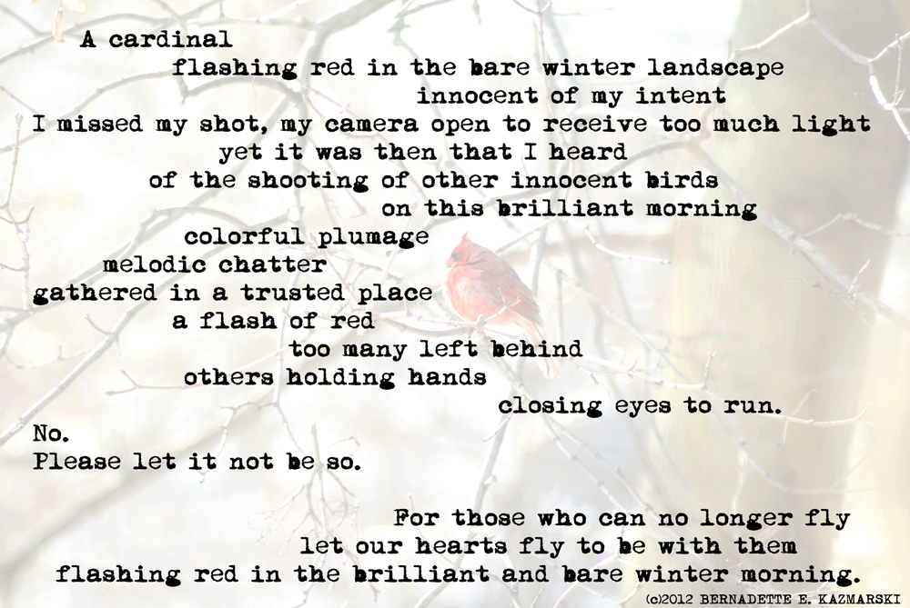 illustrated poem