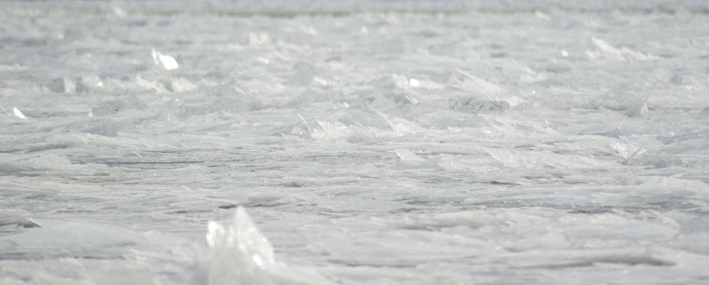 iced over allegheny river