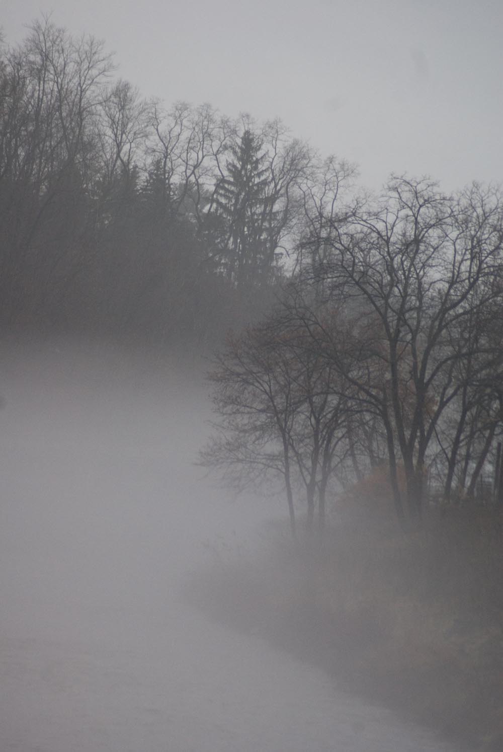 fog at a bend in the creek
