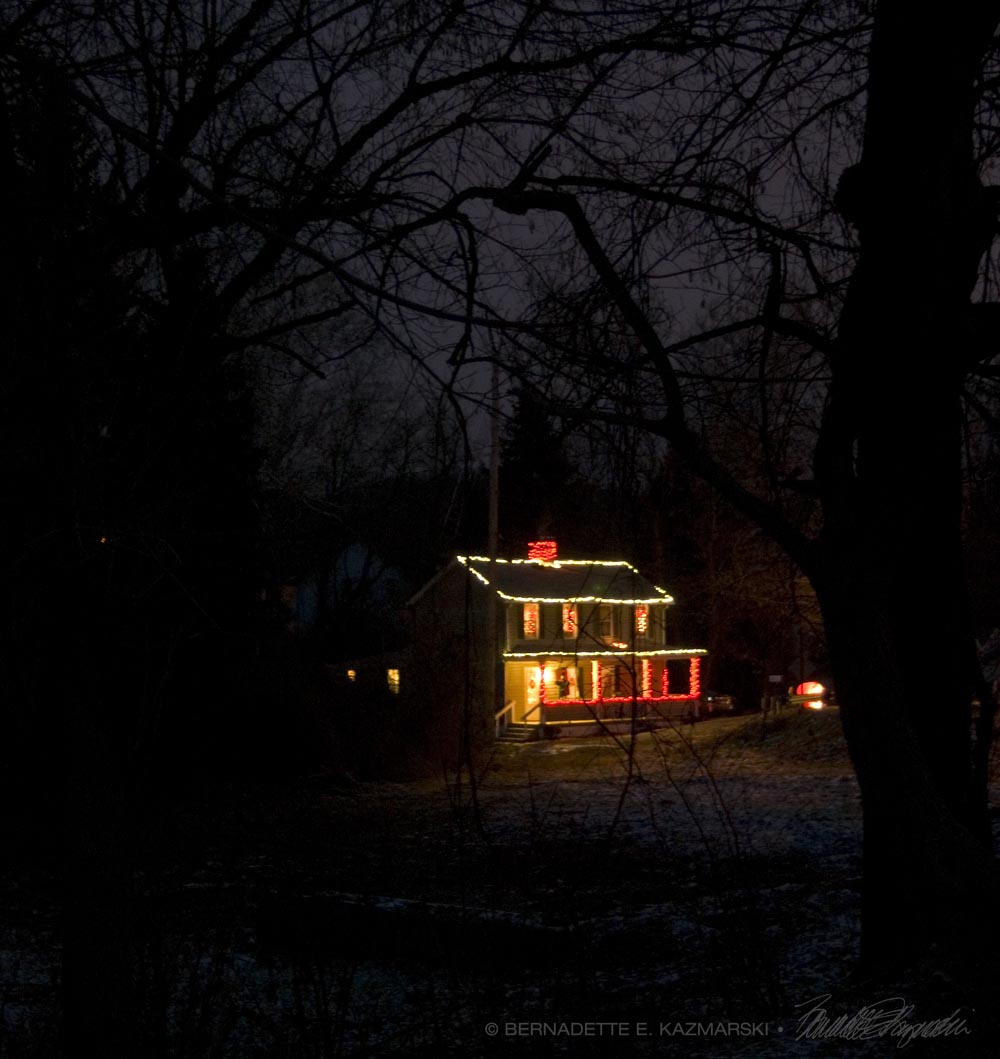 house with christmas lights in the woods