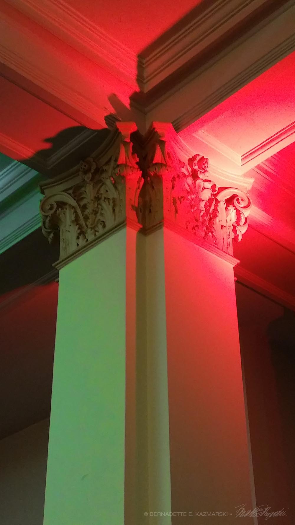 corinthian columns in library