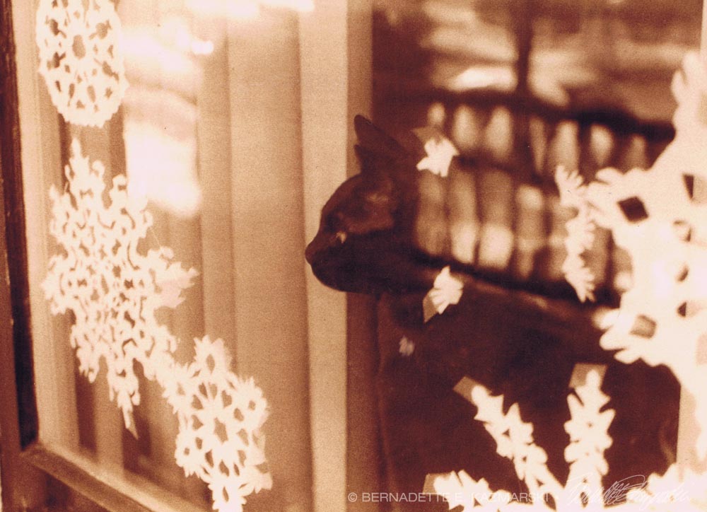 photo of cat looking out window with snowflakes