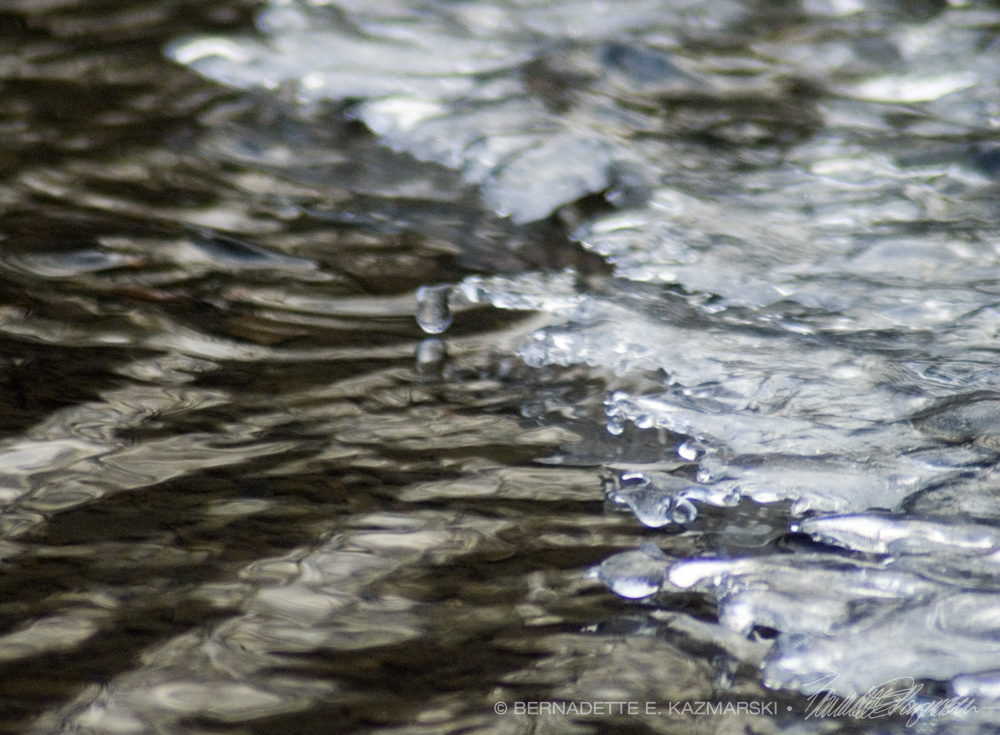 ice melting back into stream