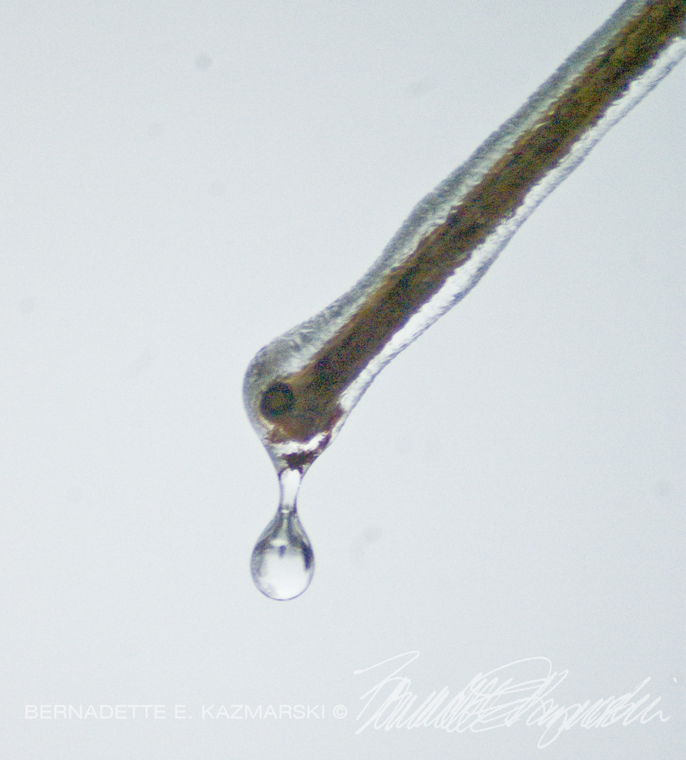 water droplet