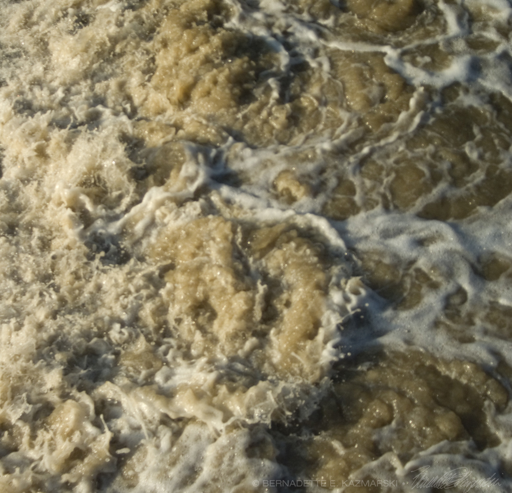 photo of water