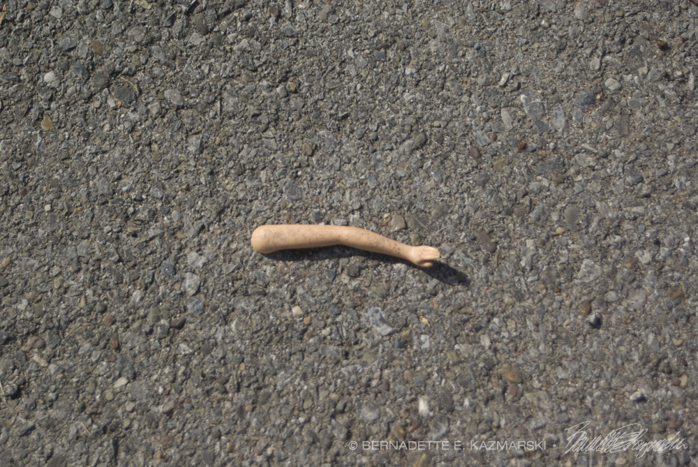 doll's arm on pavemetn