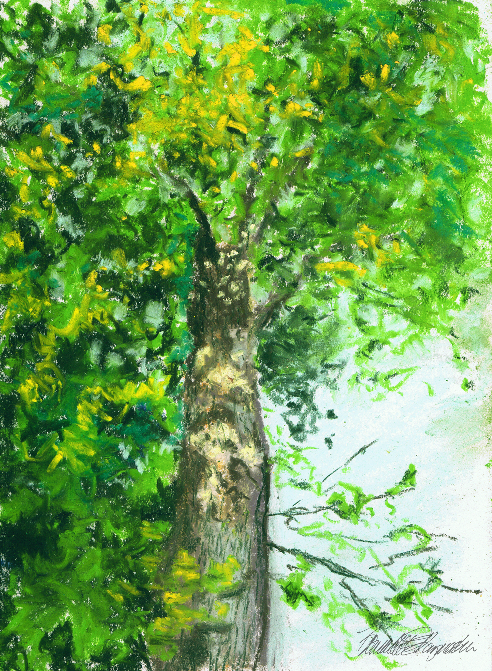pastel sketch of tree