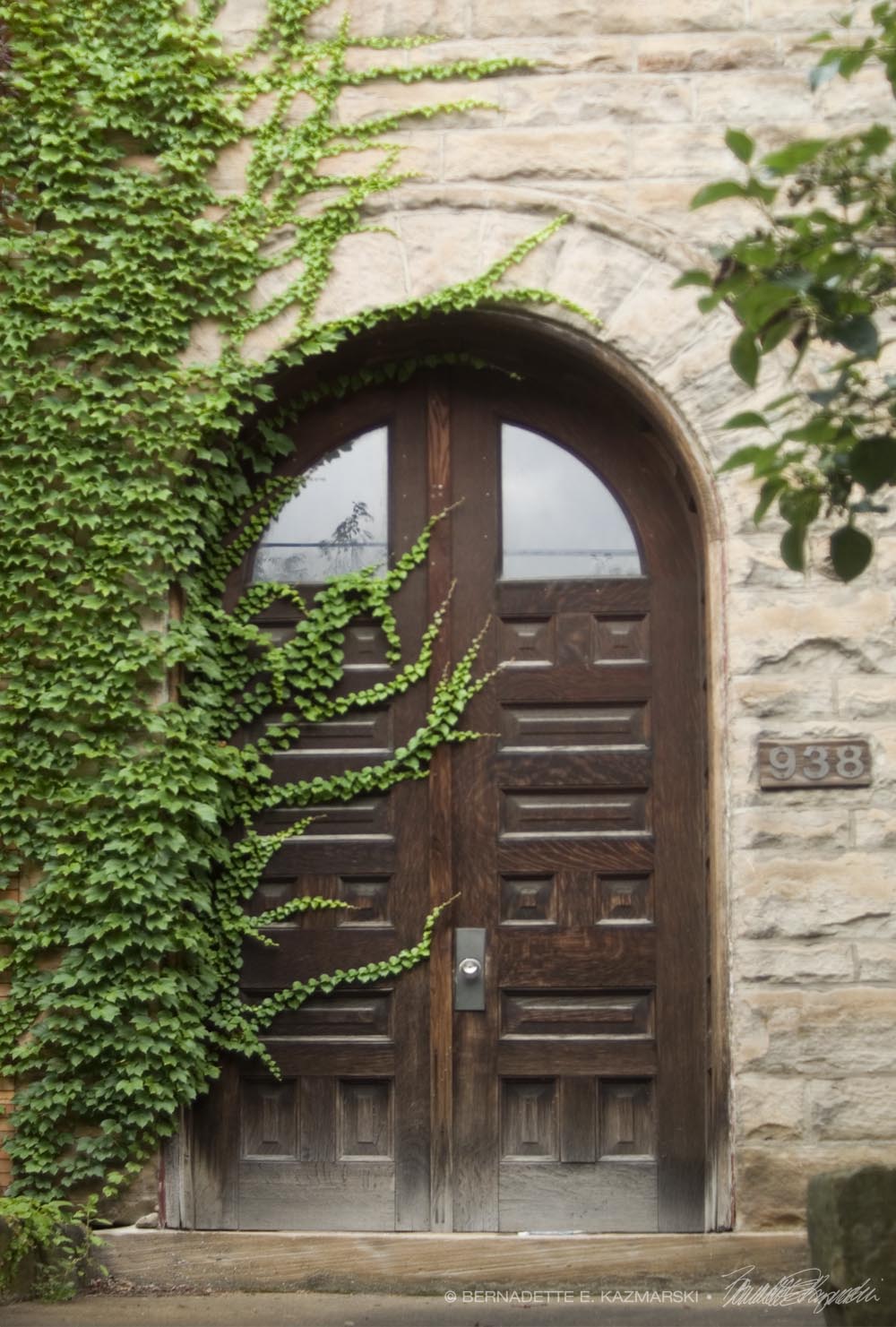 door with ivy