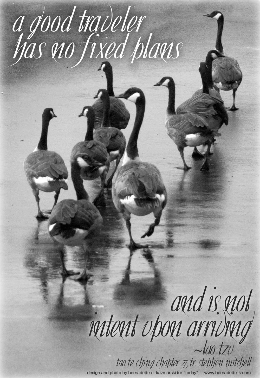 black and white, lao tzu