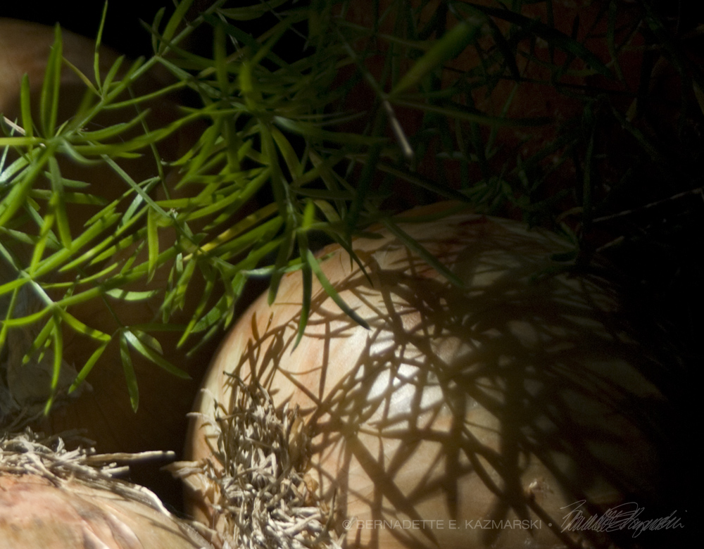 Onions and asparagus fern