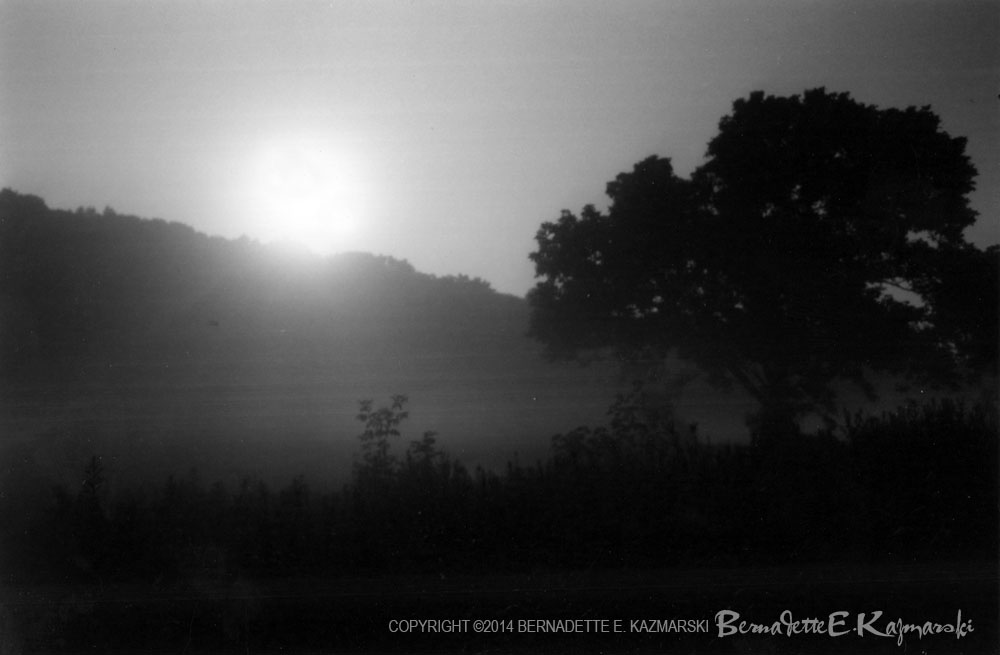 mist in moonlight