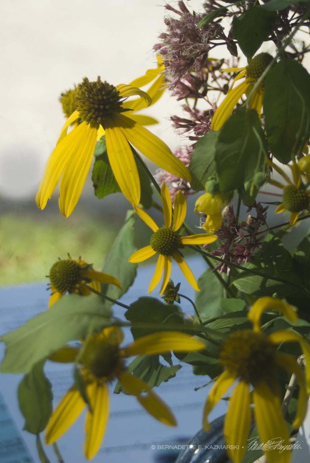 The flowers on my table gently touched by evening light.