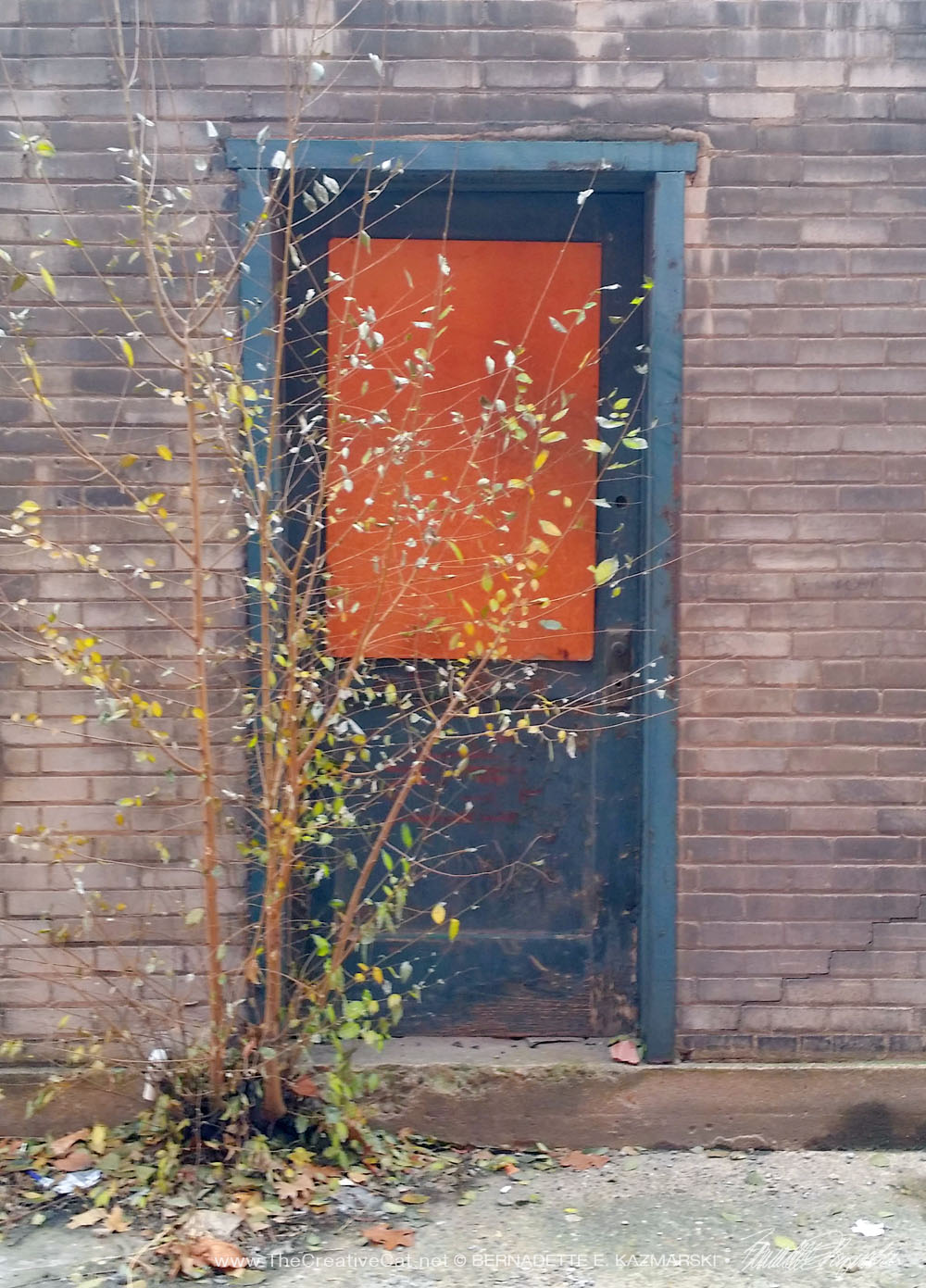 door with tree