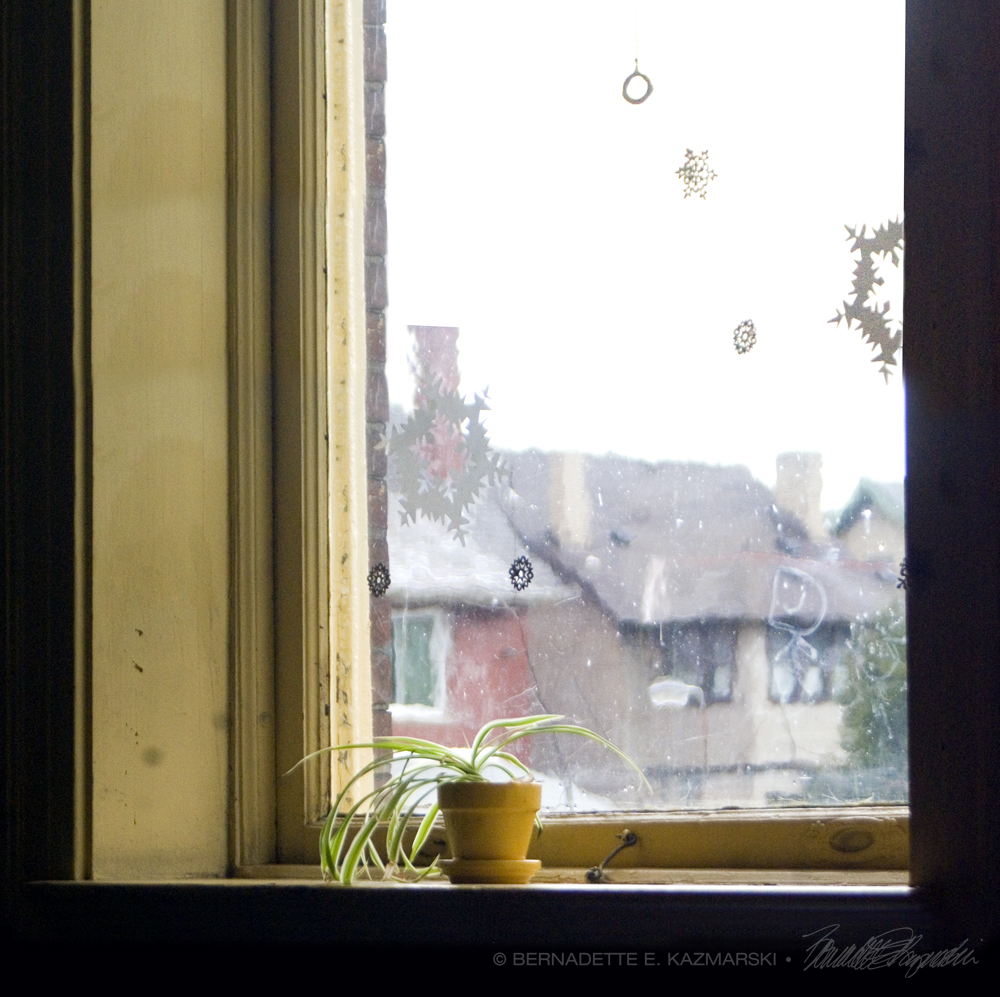 view out window