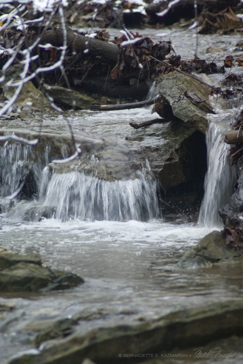 waterfall in the woods