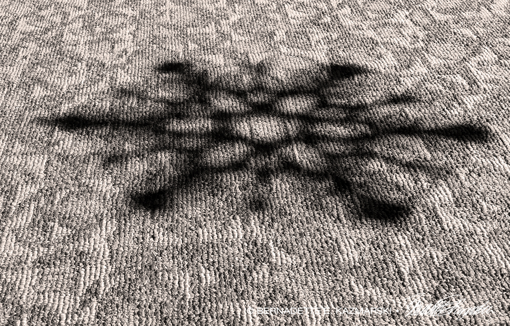 snowflake shadow
